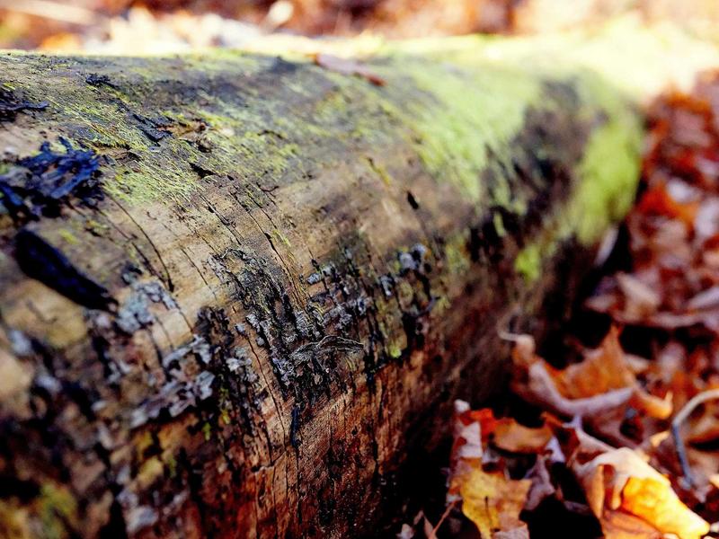 sudoku weekly challenge screenshot 1